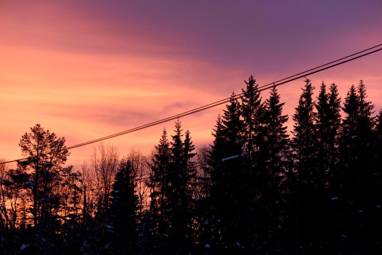 Fresh Familie Hytte Hemsedal Exteriér fotografie
