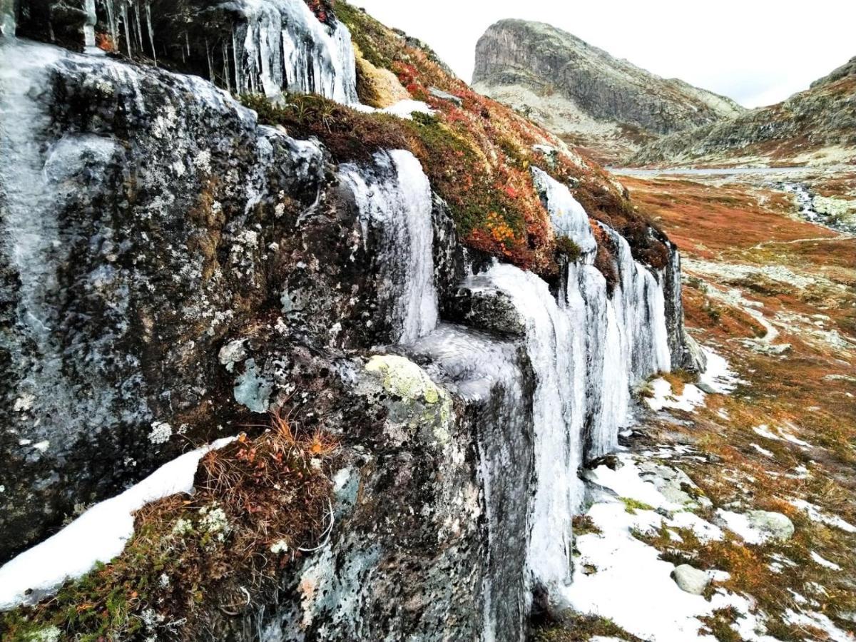 Fresh Familie Hytte Hemsedal Exteriér fotografie