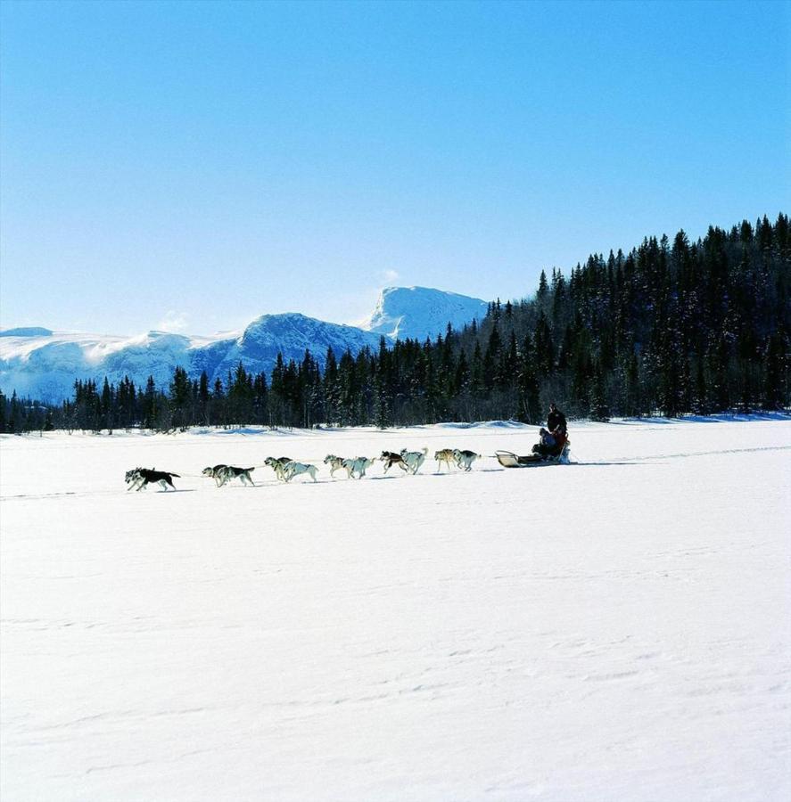 Fresh Familie Hytte Hemsedal Exteriér fotografie